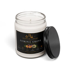 9oz Lumina Grove Scented Soy Candle — Floral Citrus Aromatherapy Jar